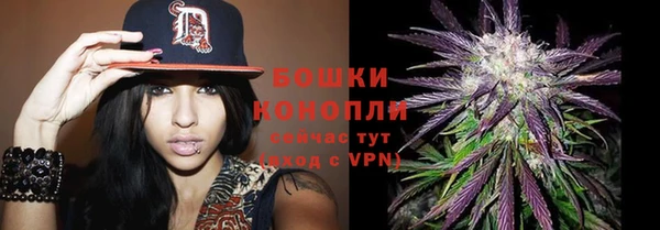соль ск Абаза